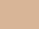 Amber Beige Color Chip